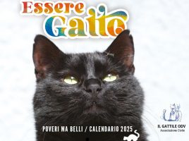 Calendario Il Gattile OdV "Poveri ma belli 2025" Essere Gatto